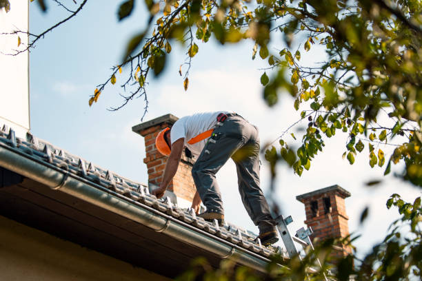 Quick and Trustworthy Emergency Roof Repair Services in Bozeman, MT